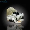 Exquisite Tourmaline with Muscovite - image 2