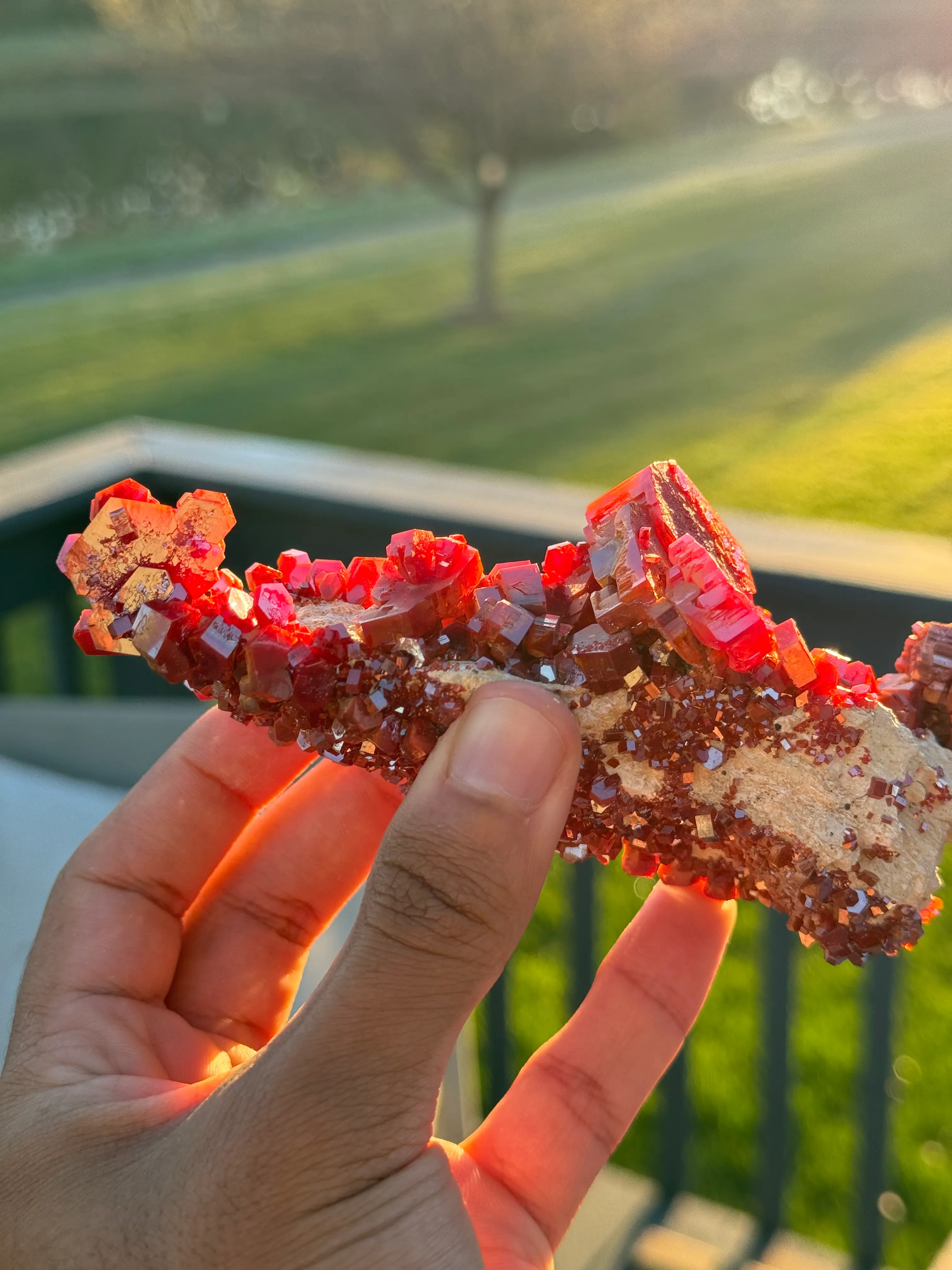 Exquisite Vanadinite Specimen Sailing Boat Formation - image 6