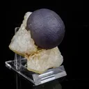 Extremely Rare Dark Purple Botryoidal Fluorite Natural Mineral Specimen – One-of-a-Kind World-Class Piece - image 3