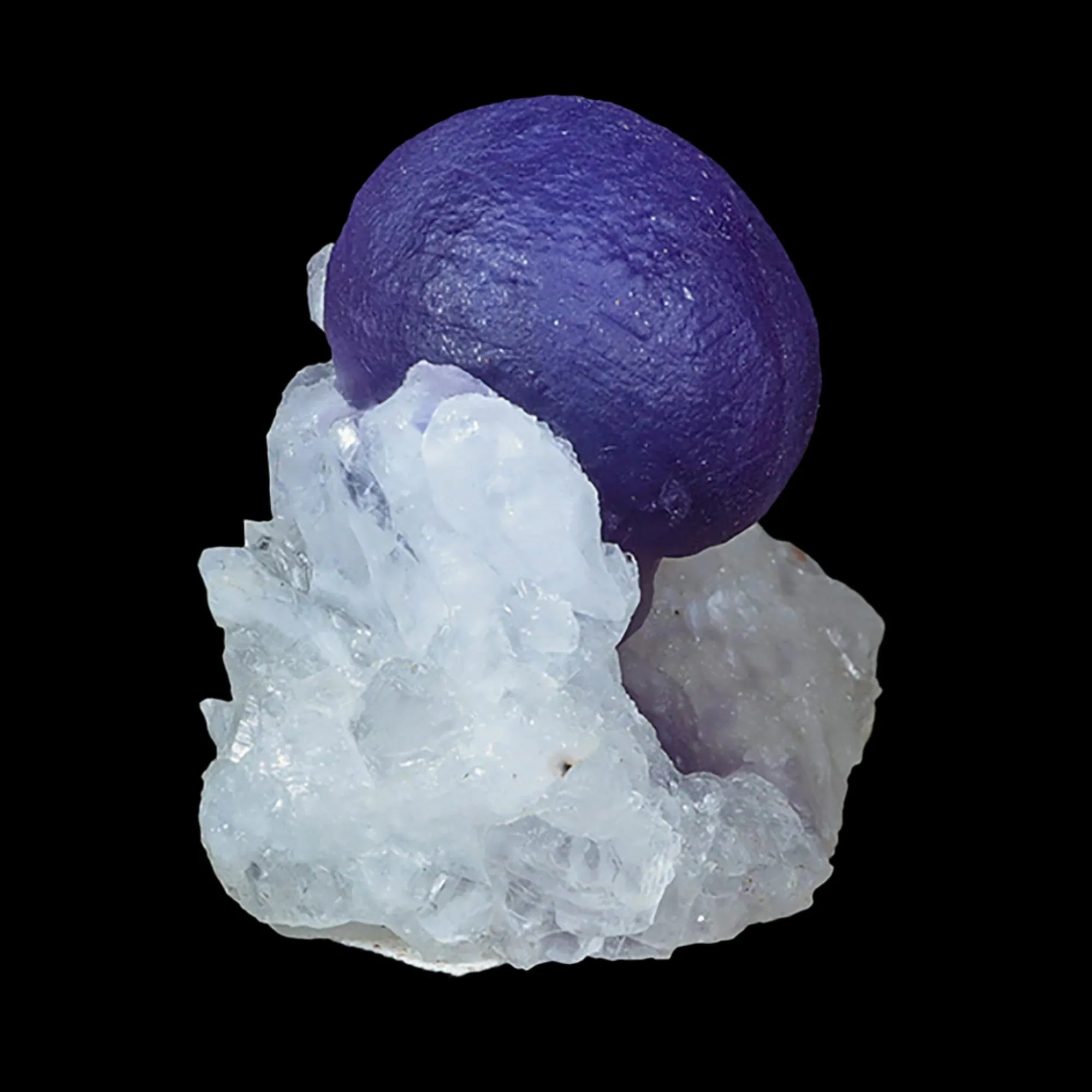 Extremely Rare Dark Purple Botryoidal Fluorite Natural Mineral Specimen – One-of-a-Kind World-Class Piece USA - image 2