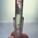 specimen video
