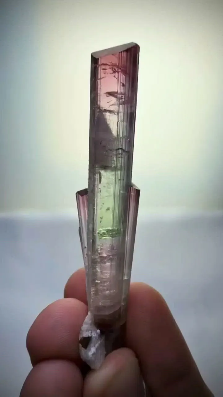 specimen video