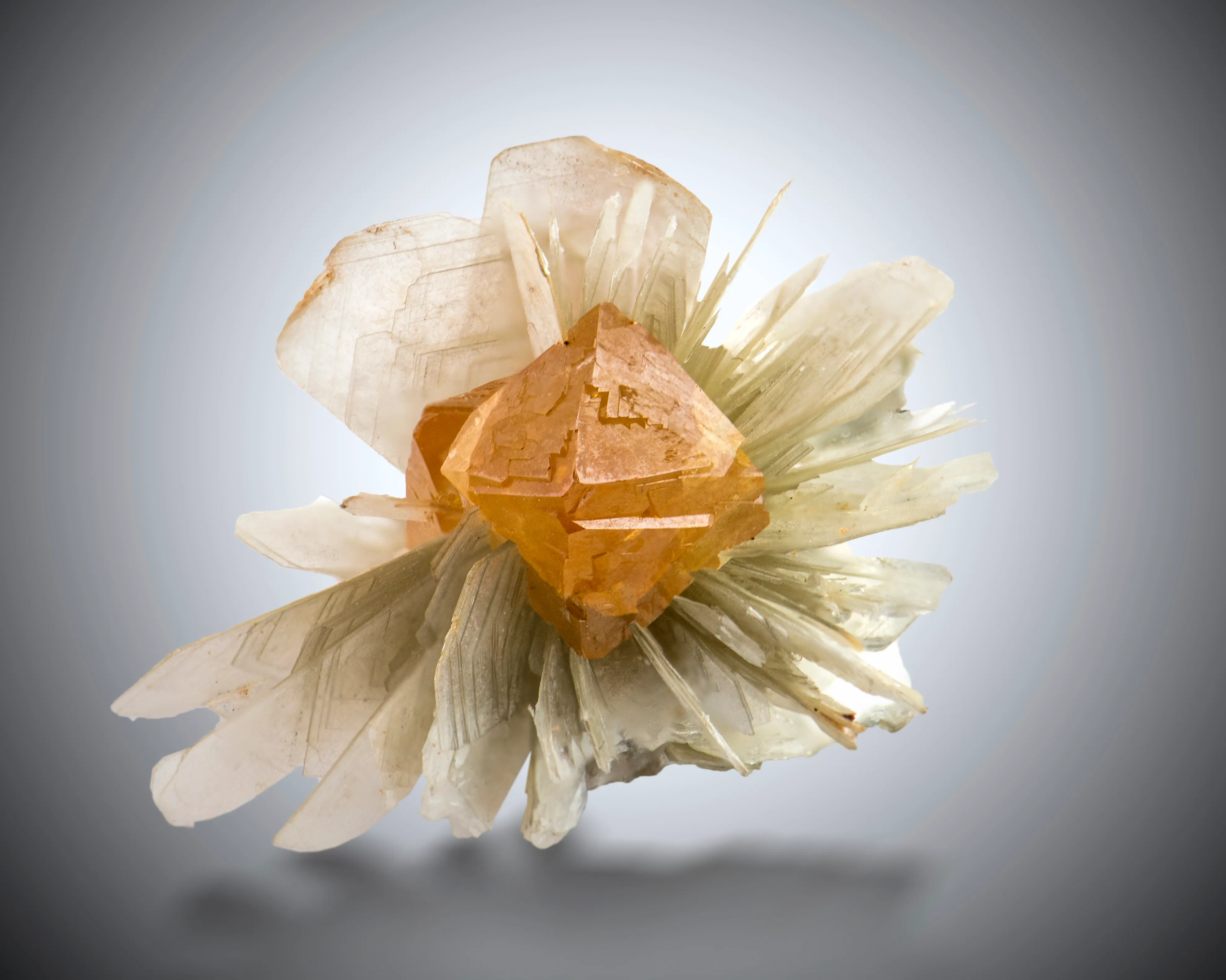 Why This Scheelite on Muscovite Works