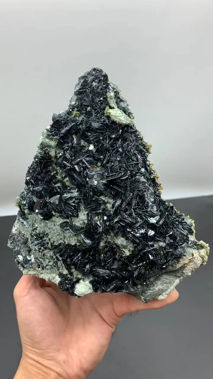 specimen video