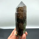 specimen video