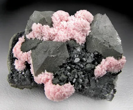 Remedios Mine, Mexico Locality Guide
