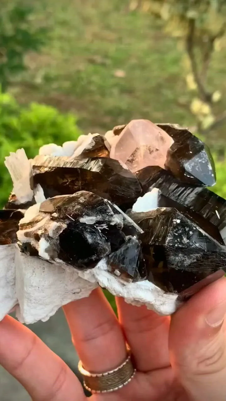 specimen video