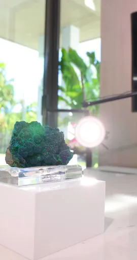 specimen video