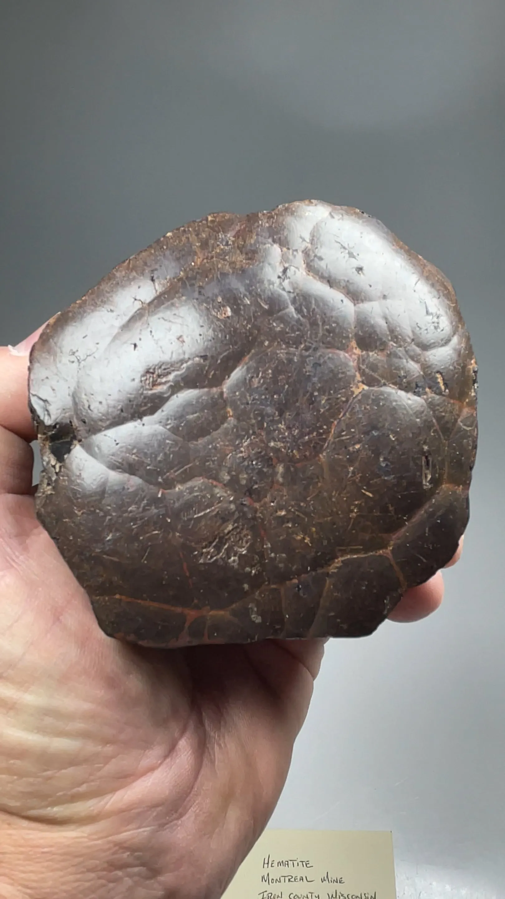 specimen