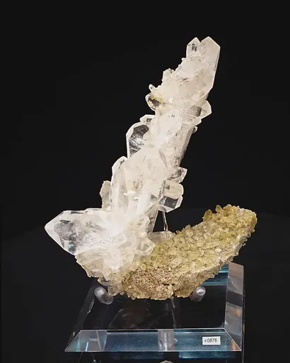 specimen video