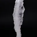specimen video