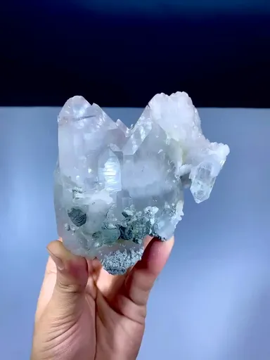 specimen video