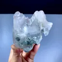 specimen video