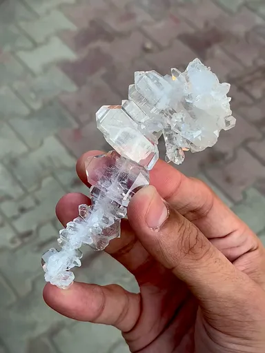 specimen video