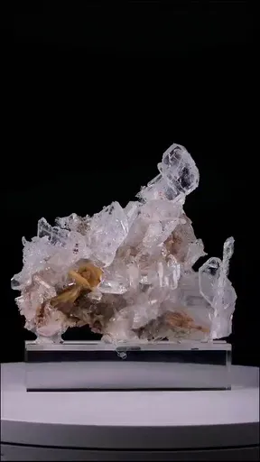 specimen video