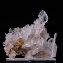 specimen video