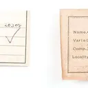 Fairfieldite - image 2