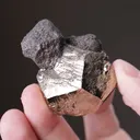 FAMATINITE on Pyrite - image 2