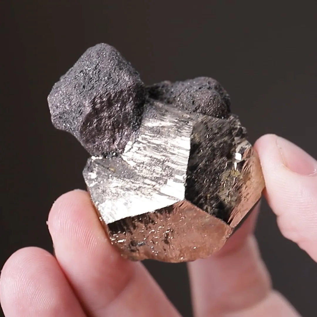 FAMATINITE on Pyrite - image 2