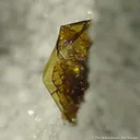 Fayalite on Cristobalite - image 3