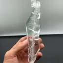 specimen video