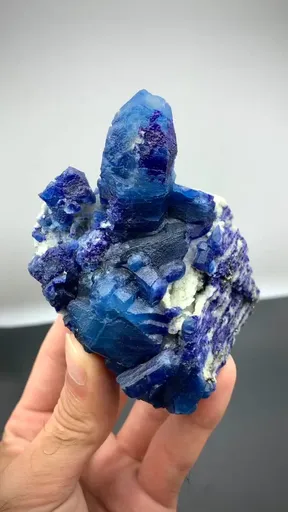 specimen video