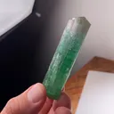 specimen video