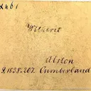 specimen