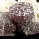 Feldspar and Lepidolite - image 2