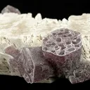 Feldspar and Lepidolite - image 1