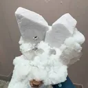 specimen video