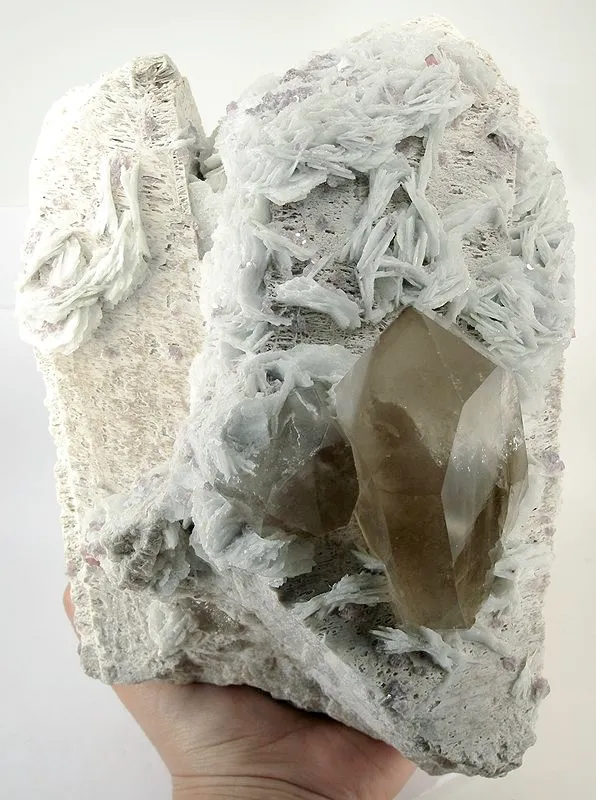 Feldspar Group, Albite (Var: Cleavelandite), Quartz (Var: Smoky Quartz) image