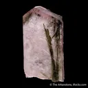 Feldspar Included by Tourmaline - image 4