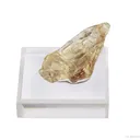 Feldspar var. Sunstone (rough and cut set) - image 3