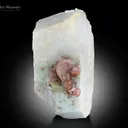 Feldspar with Apatite from Pakistan - image 1