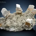 Feldspar with Quartz and Schorl Spray on Matrix from Pakistan - image 3