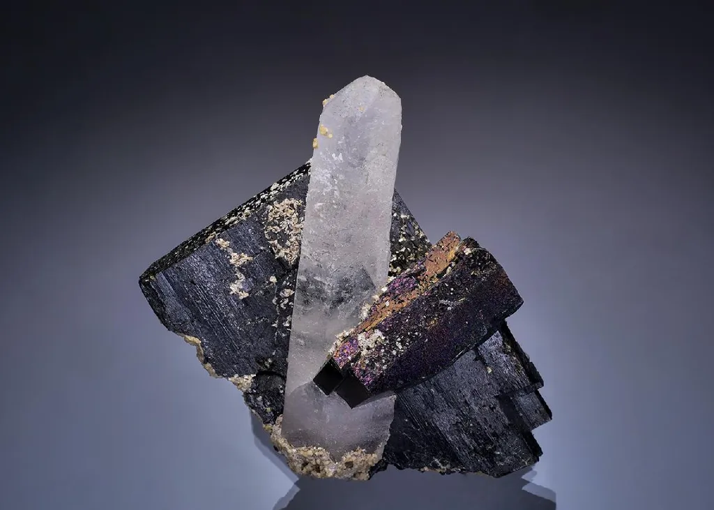 Ferberite and Arsenopyrite with Quartz image
