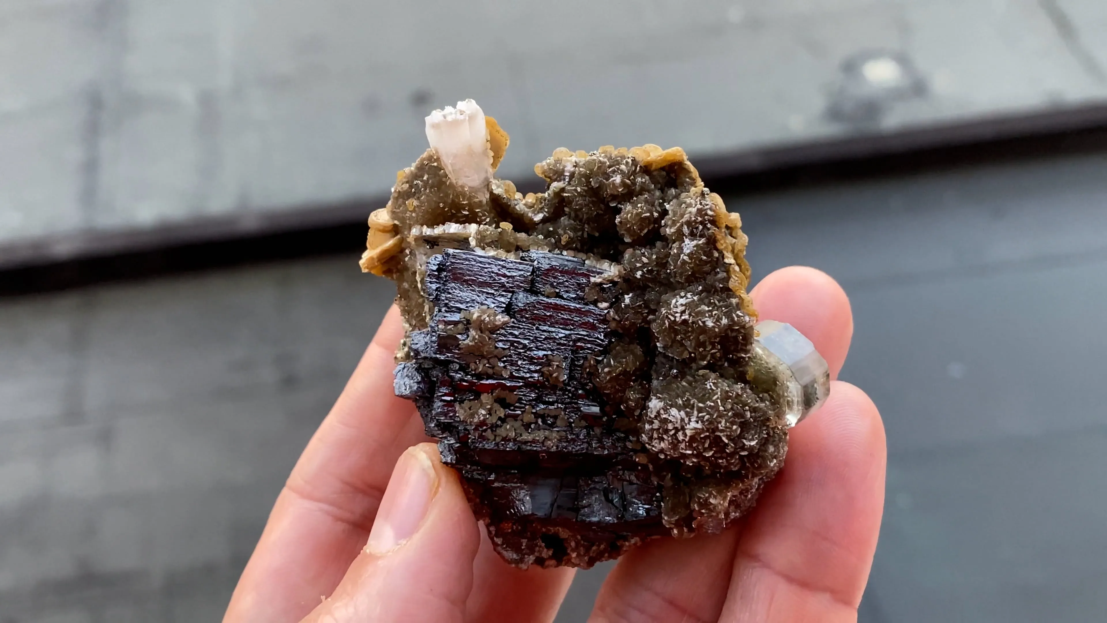 Ferberite, Fluorapatite and Siderite - image 5