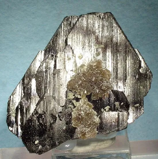 Ferberite, Muscovite image