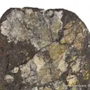 Ferberite pseudo. After Scheelite - image 4