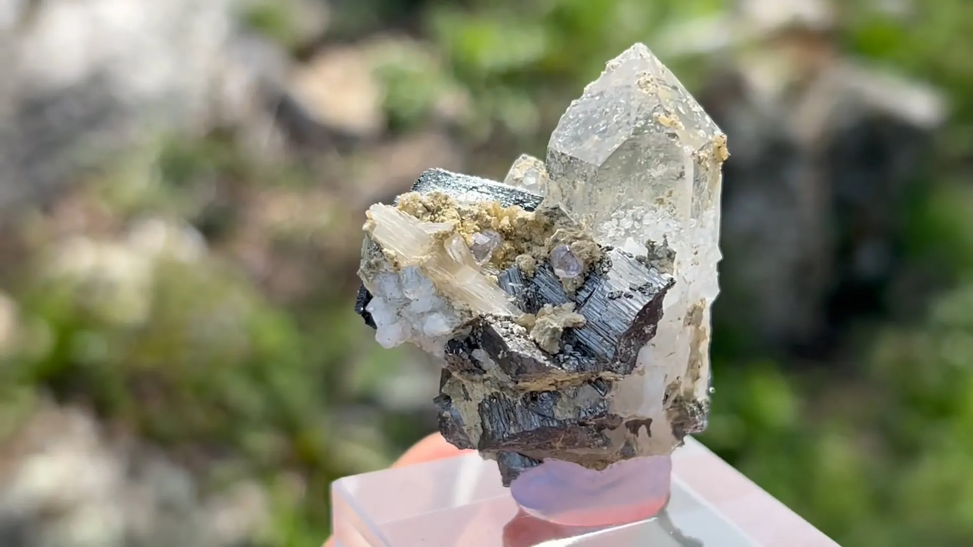 Ferberite, Quartz, Fluorapatite, Fluorite, Topaz, Arsenopyrite - image 5
