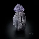 Ferberite w/ Fluorite - image 5