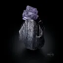 Ferberite w/ Fluorite - image 4