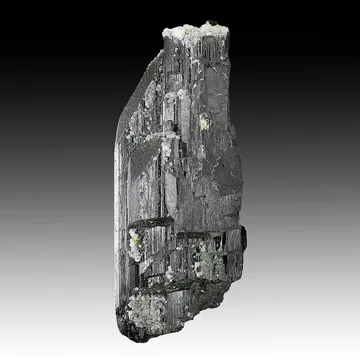 Ferberite with Calcite, Dolomite