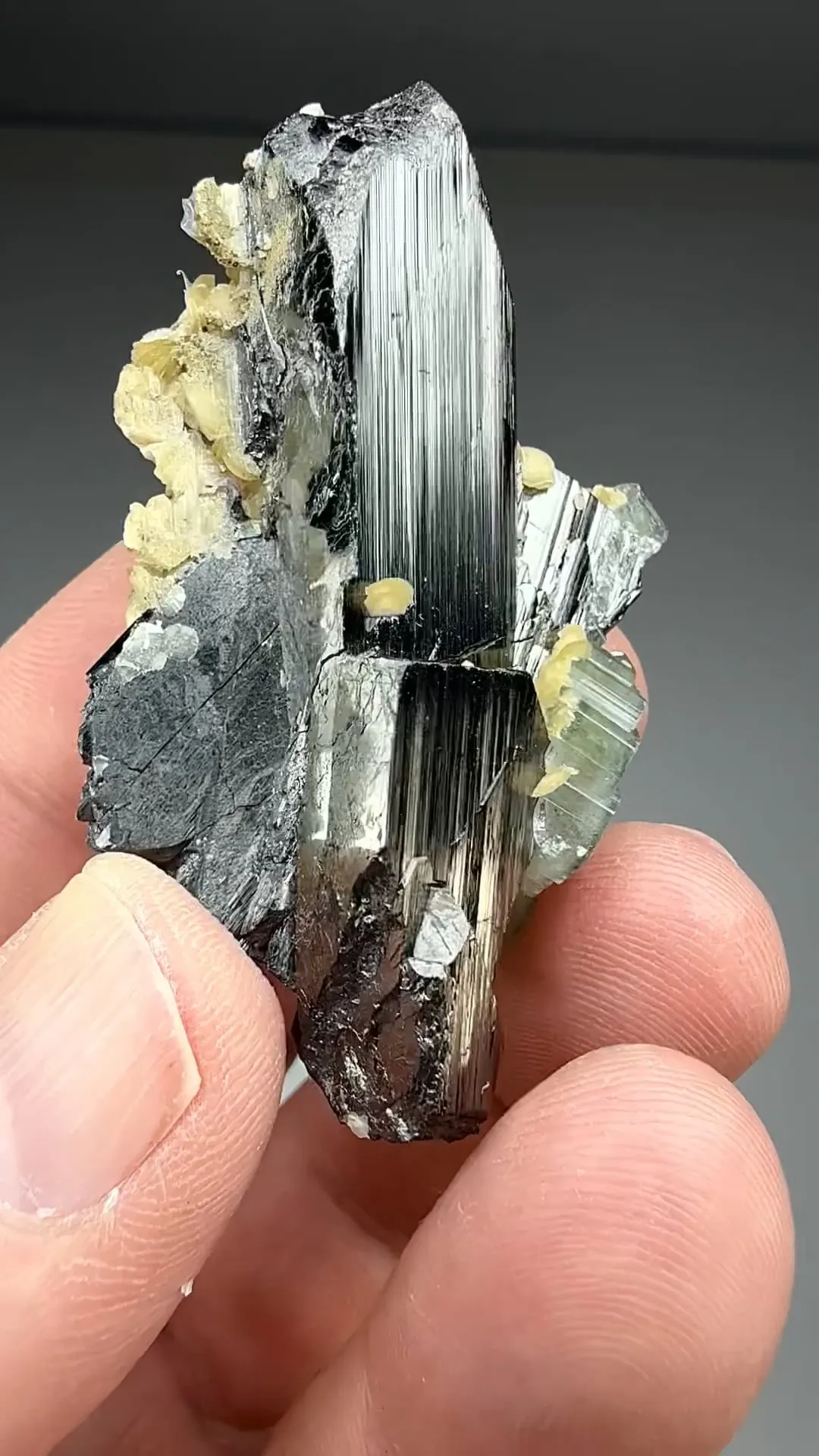 Ferberite with Fluorapatite, Siderite (1029) - image 2