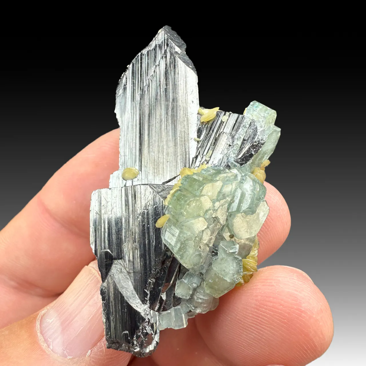 Ferberite with Fluorapatite, Siderite (1029) - image 1