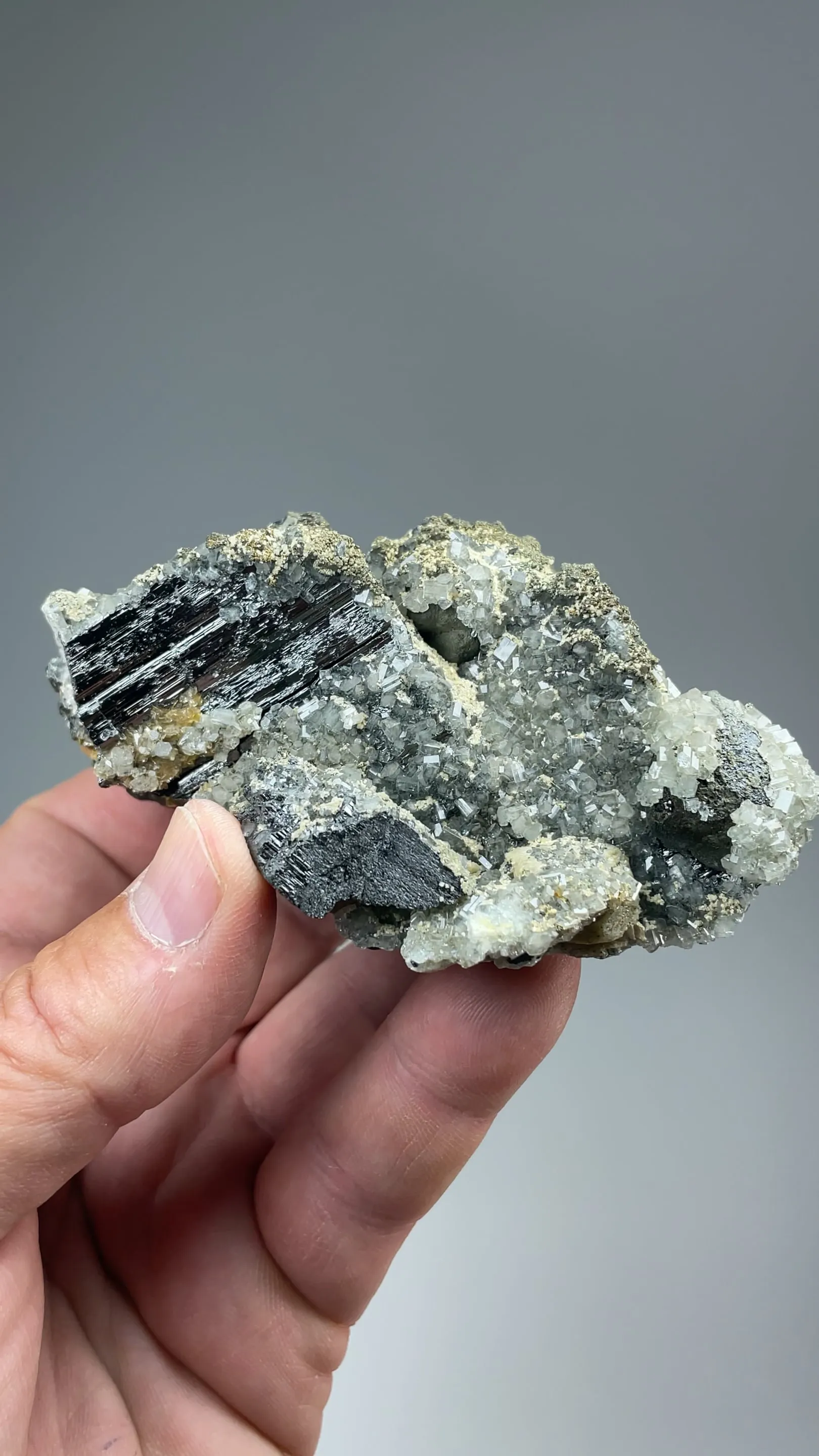 Ferberite with Fluorapatite, Siderite - image 2