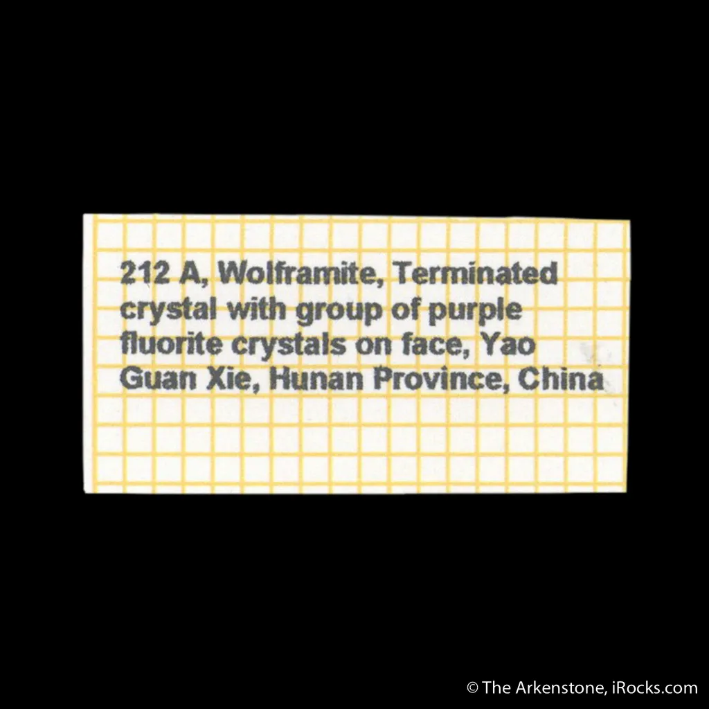 Ferberite with Fluorite - image 7