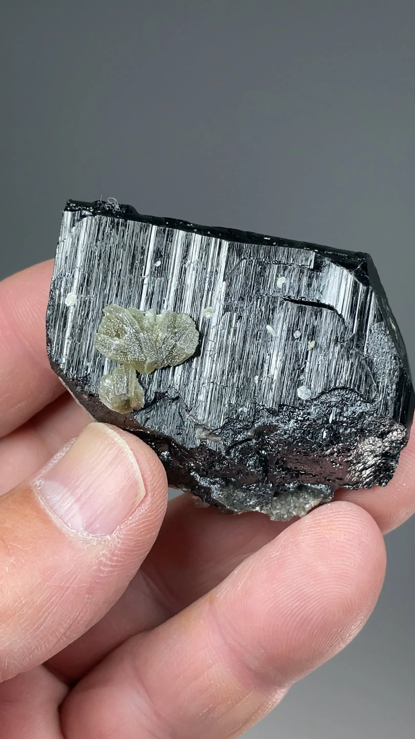 Ferberite with Fluorite, Muscovite - image 2