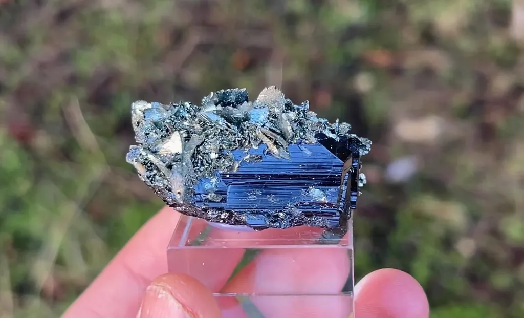 Ferberite with Marcasite - image 4